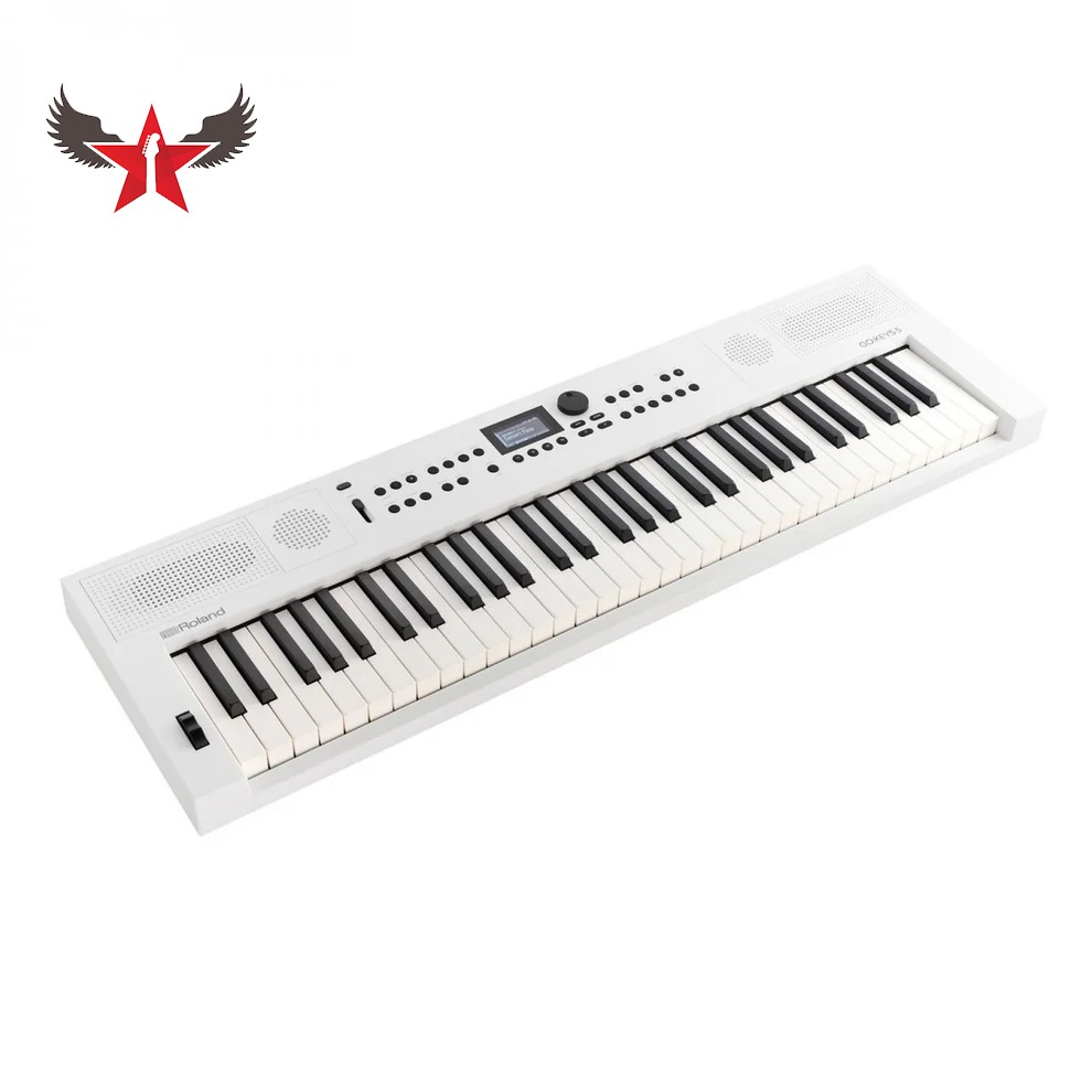 dan-organ-roland-go-keys-5 